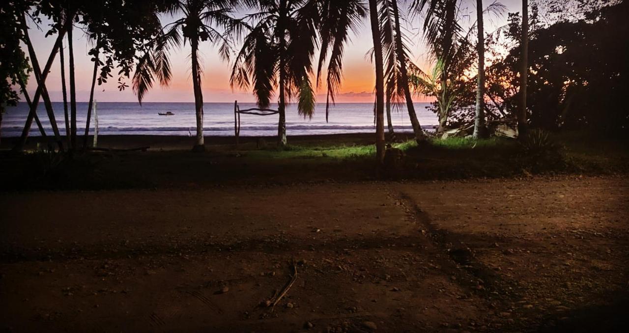 Perla Negra Beachfront Puerto Viejo de Talamanca Exteriér fotografie
