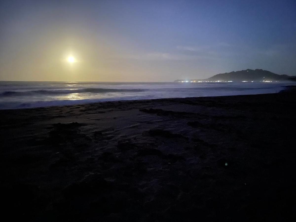Perla Negra Beachfront Puerto Viejo de Talamanca Exteriér fotografie
