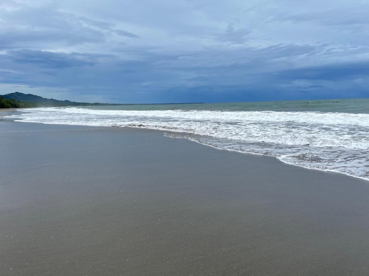 Perla Negra Beachfront Puerto Viejo de Talamanca Exteriér fotografie