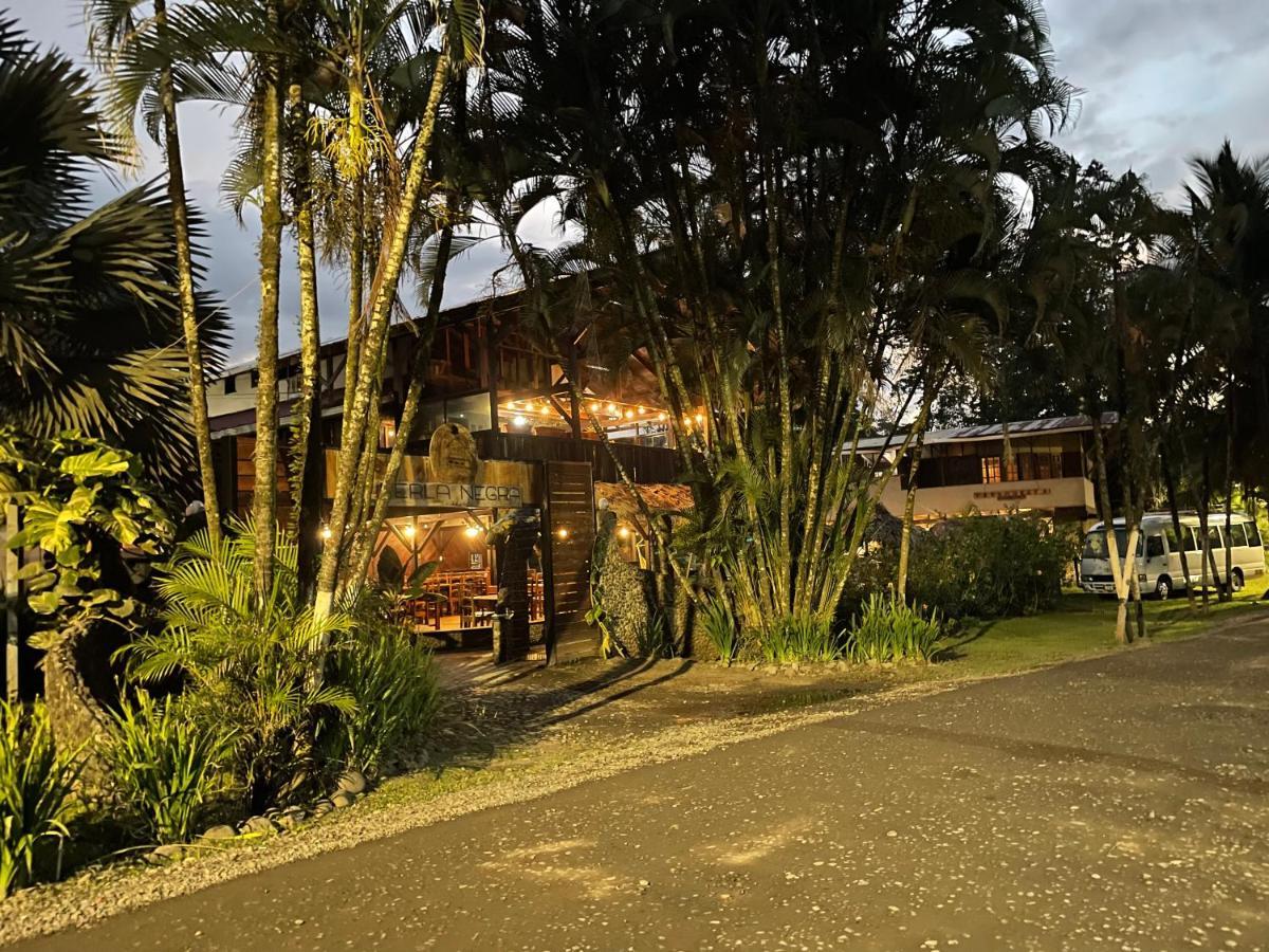 Perla Negra Beachfront Puerto Viejo de Talamanca Exteriér fotografie