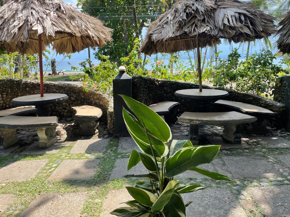 Perla Negra Beachfront Puerto Viejo de Talamanca Exteriér fotografie