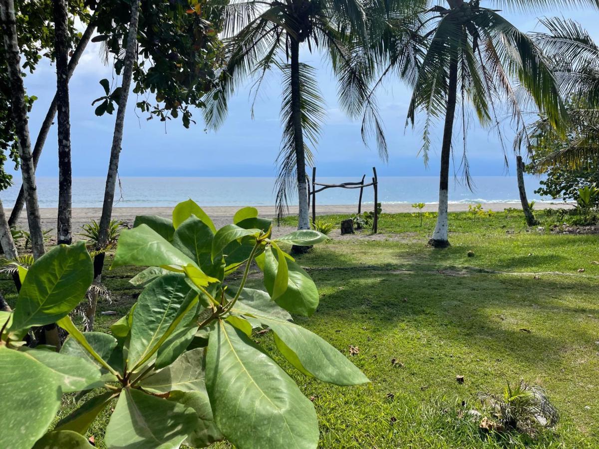 Perla Negra Beachfront Puerto Viejo de Talamanca Exteriér fotografie