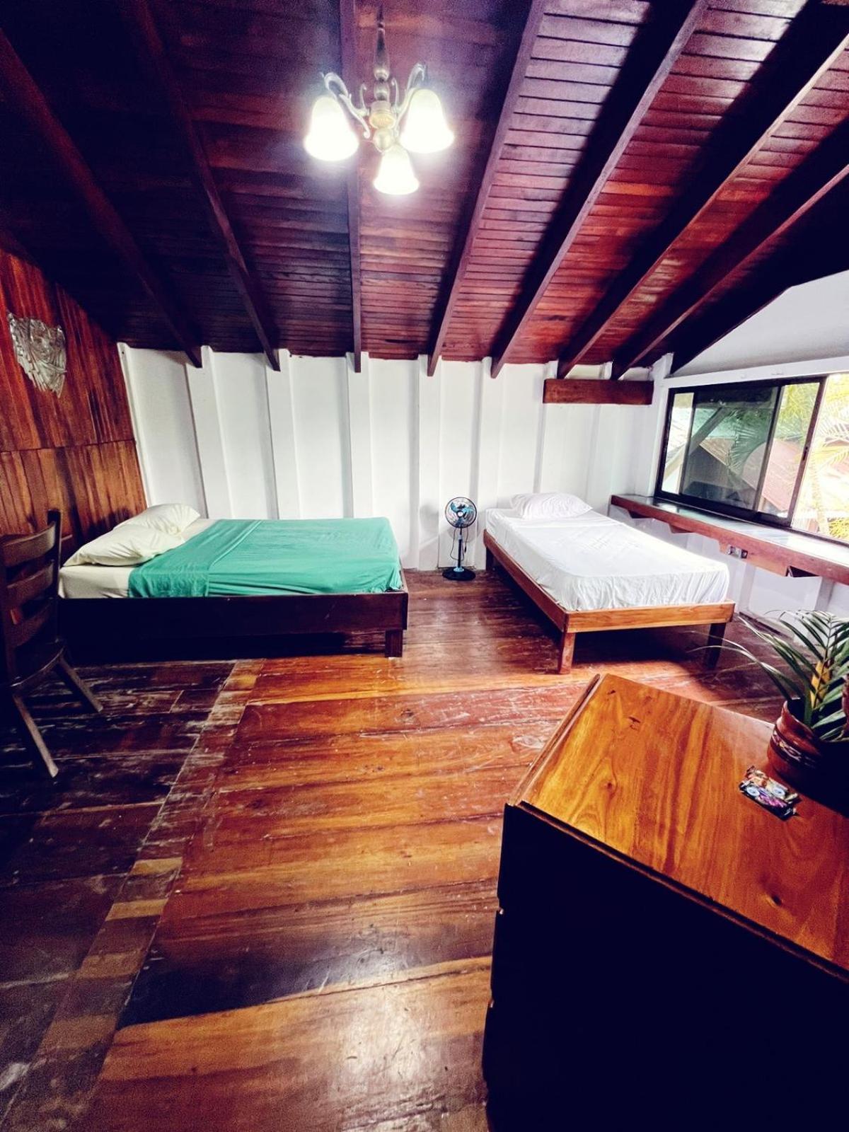 Perla Negra Beachfront Puerto Viejo de Talamanca Exteriér fotografie