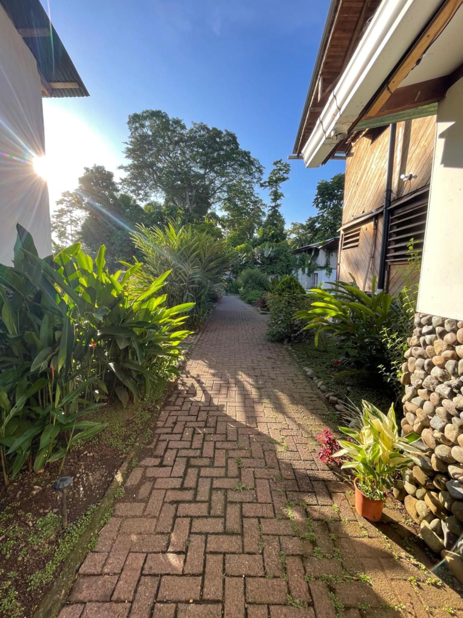 Perla Negra Beachfront Puerto Viejo de Talamanca Exteriér fotografie
