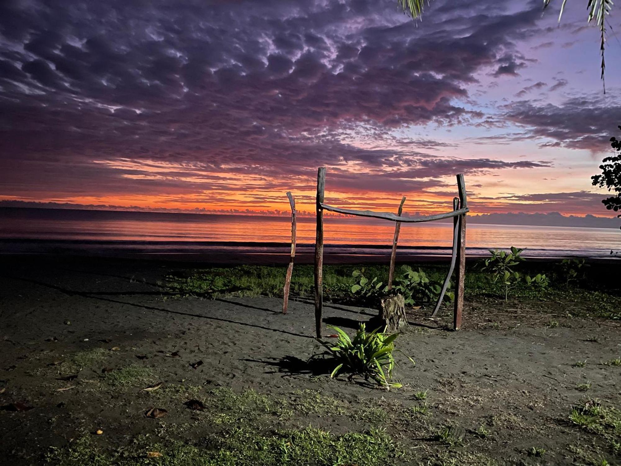 Perla Negra Beachfront Puerto Viejo de Talamanca Exteriér fotografie