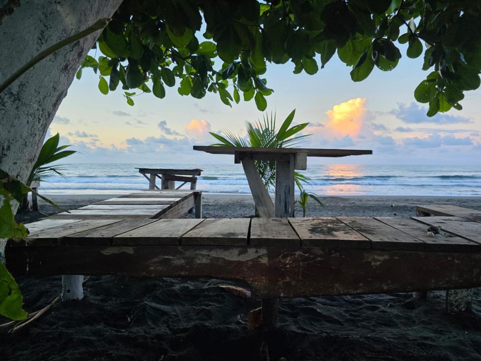 Perla Negra Beachfront Puerto Viejo de Talamanca Exteriér fotografie